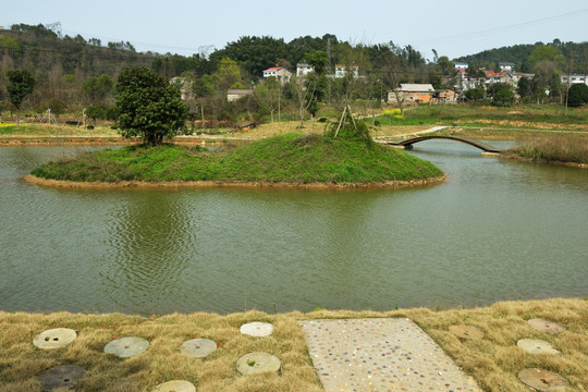 湿地 湿地公园