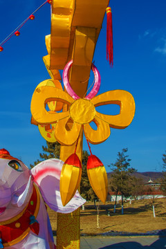 鞍山玉佛寺蝴蝶花灯展造型