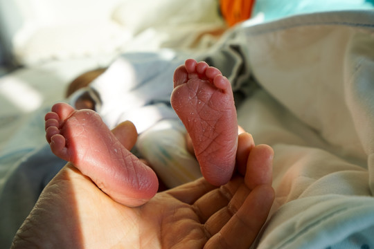 初生婴儿的双脚