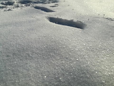 雪地上的脚印