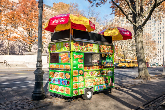 美国纽约街头餐车