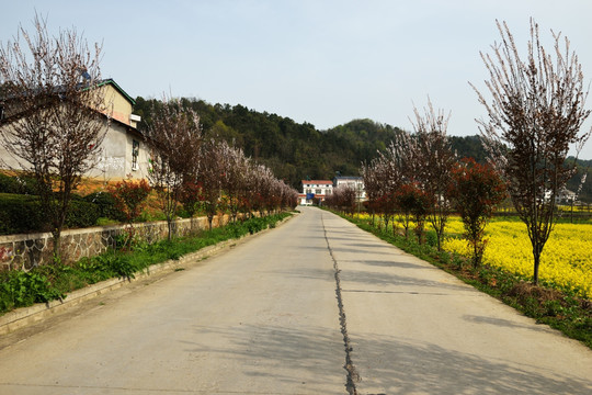 乡村道路