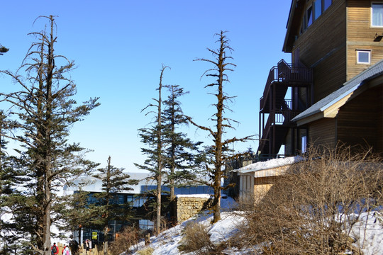 西岭雪山日月坪接待站 木楼宾馆