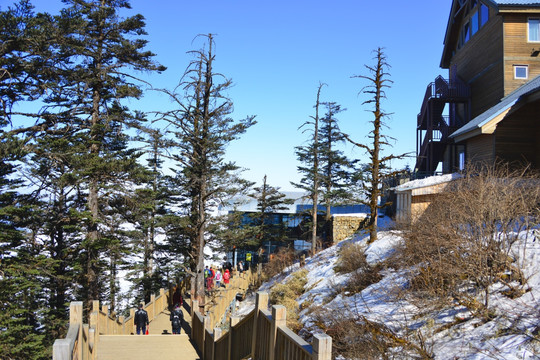 西岭雪山日月坪接待站 木楼宾馆