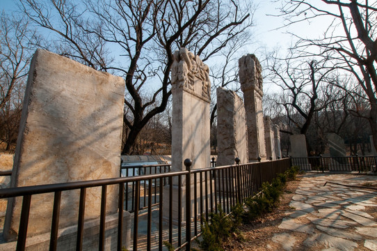 北京植物园 碑林