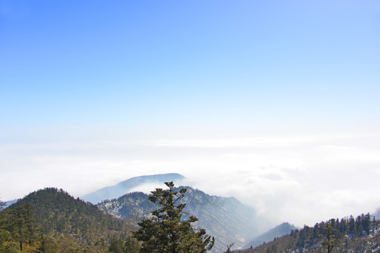 西岭雪山 日月坪云海