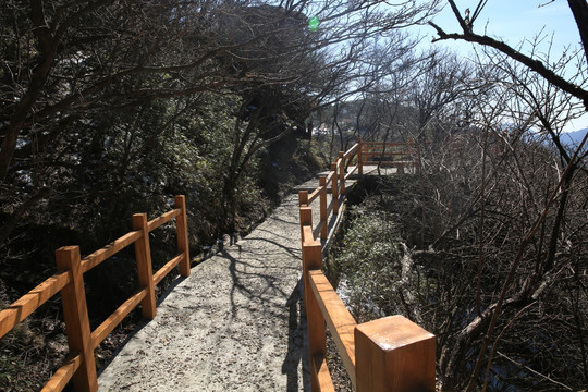 栈道 旅游 景观 建筑 阳光