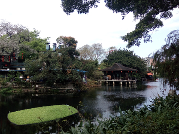 广州荔湾湖风景