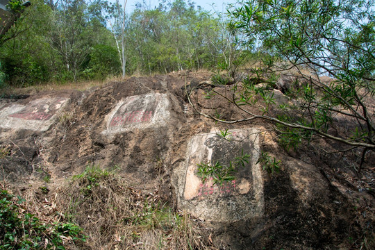 石壁 深圳南山公园
