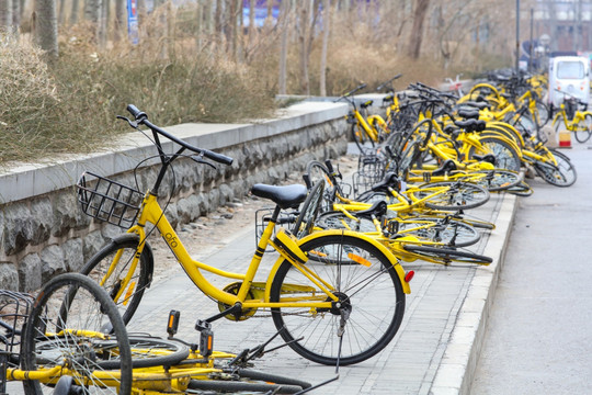 路边的共享单车 共享自行车