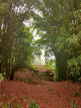 农村