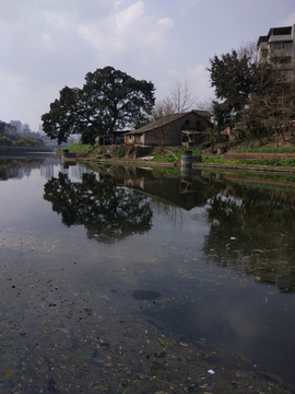 城市风景