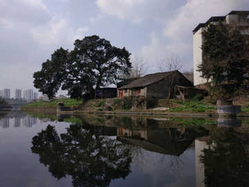 城市风景