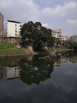 城市风景