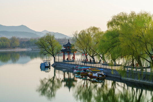 杨柳 春天 湖景 山水