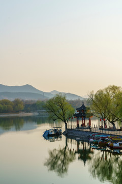 春天 湖景 杨柳 亭子