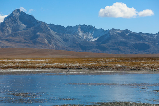 高原湿地