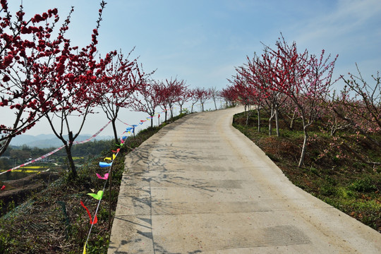 高速公路