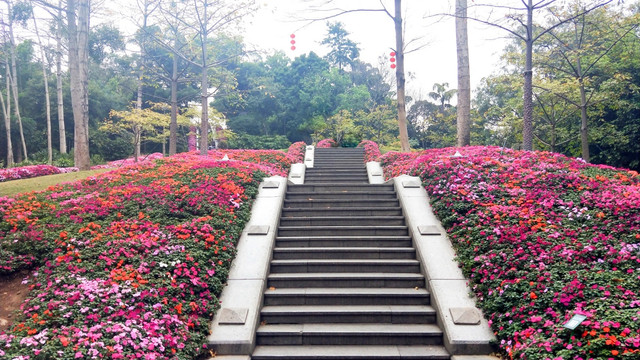 公园一角铺满鲜花的小路