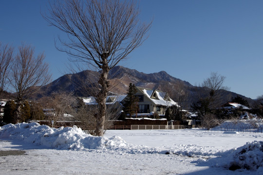 日本雪后