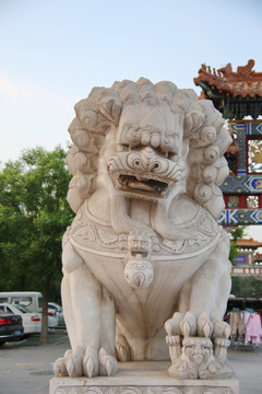 沧州州石雕狮子