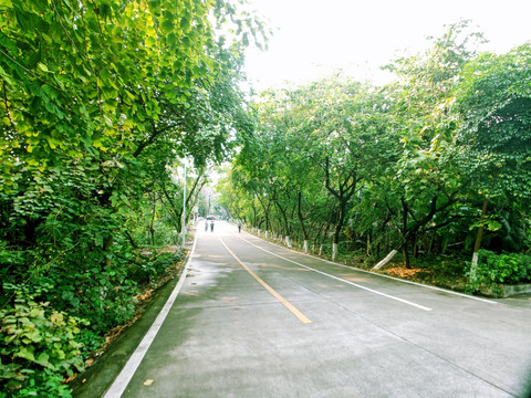 交通公路