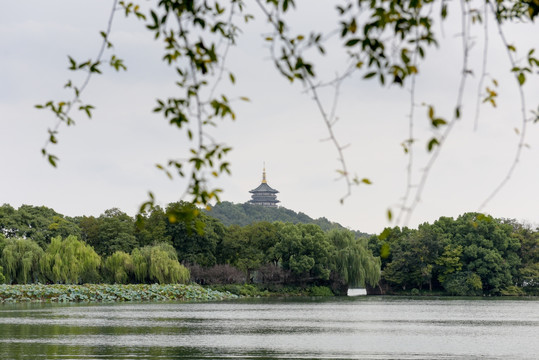 唯美风景 杭州风景