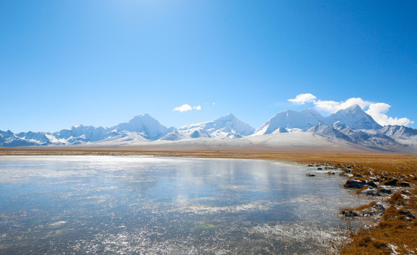 雪山下的湿地