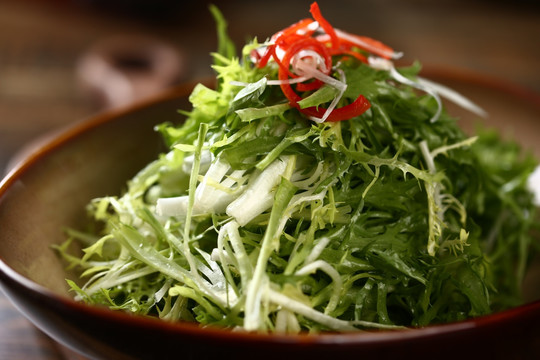 凉拌苦菊