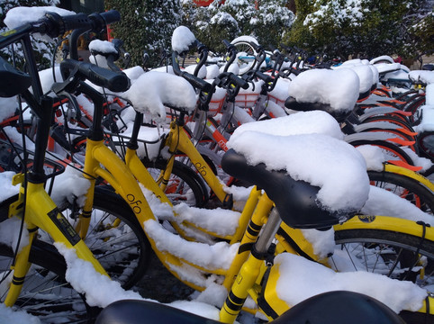 雪后的共享单车