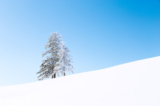 雪后的羊草山