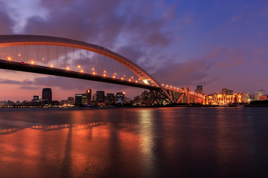 上海城市风光之卢浦大桥与黄浦江