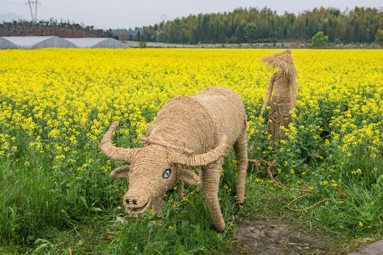 花田