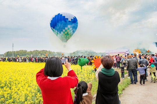 油菜花节