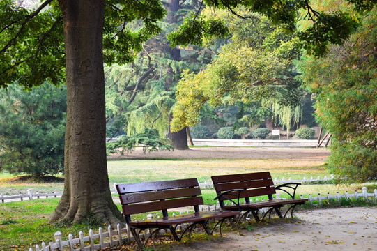 公园背景图片 绿色背景