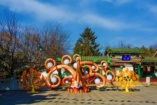 鞍山玉佛寺挂灯树干灯展日景