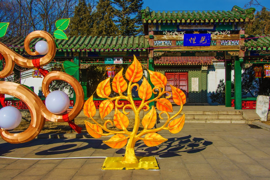 鞍山玉佛寺金叶树灯展造型日景