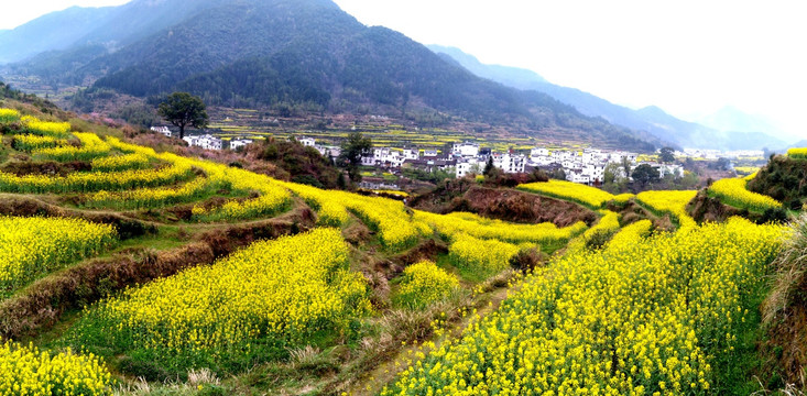 婺源风光