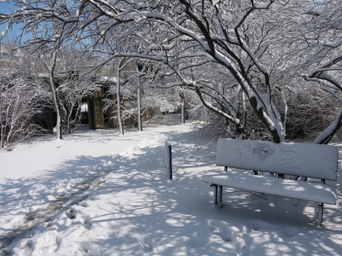 沈阳大雪公园