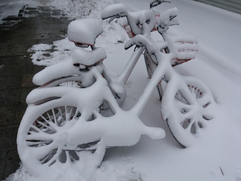 沈阳大雪摩拜单车