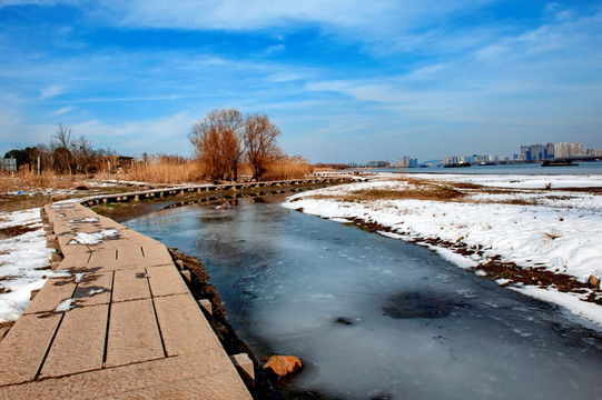 南京长江沿岸湿地