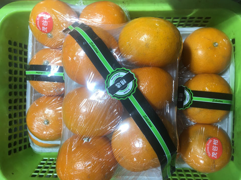 进口橙子