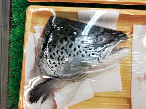 三文鱼头