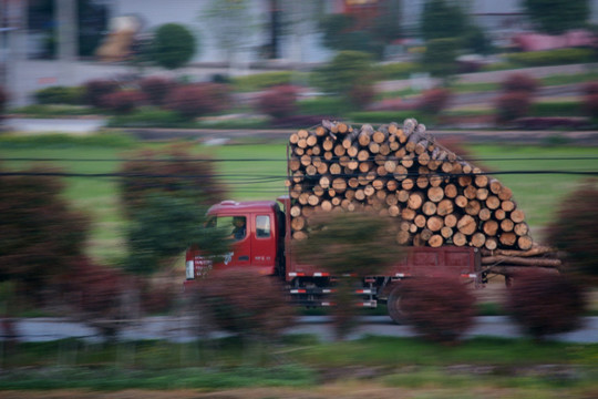 运木头的货车