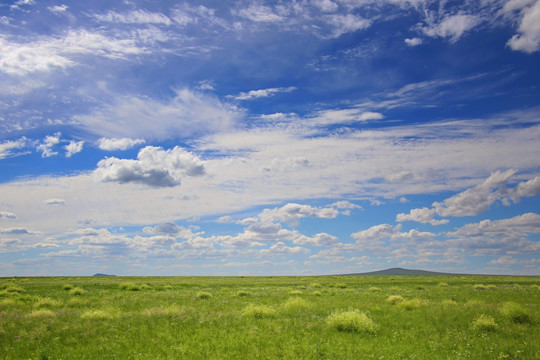 达里诺尔湖草原蓝天风风光