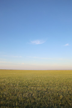 蓝天下的内蒙古草原美景