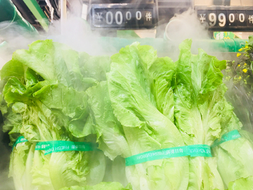 生菜 蔬菜 喷雾保鲜