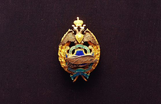 空军 俄罗斯力量 奖章