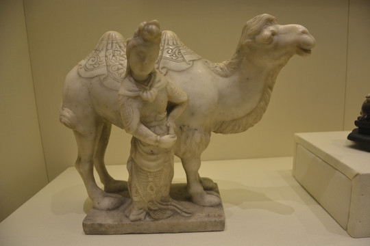 骆驼与女武士