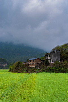 春色 风景